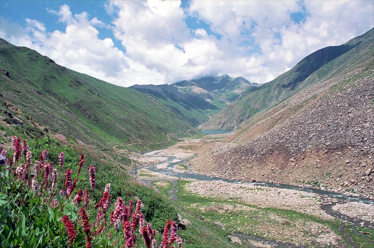 08 Wildflowers Frame The Road With Lake Lulusar In Kaghan Valley We descend from the Babusar Pass to see beautiful wildflowers blooming on the side of the road with the dark green waters of Lake Lulusar (3350m) in the distance.